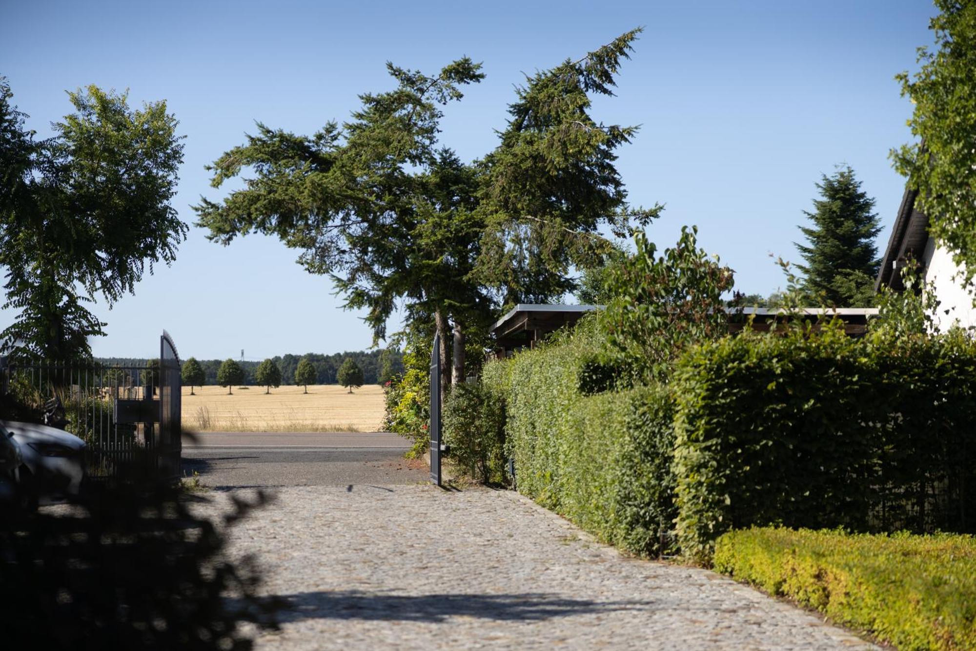 Pension Kleiner Koenig Struppen-Siedlung Exteriér fotografie
